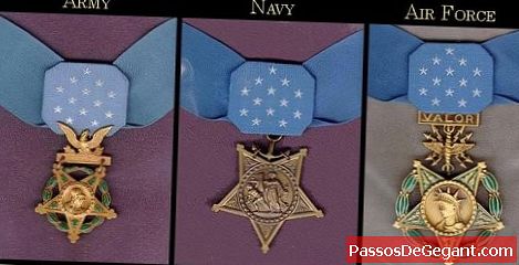 Medalla de Honor creada