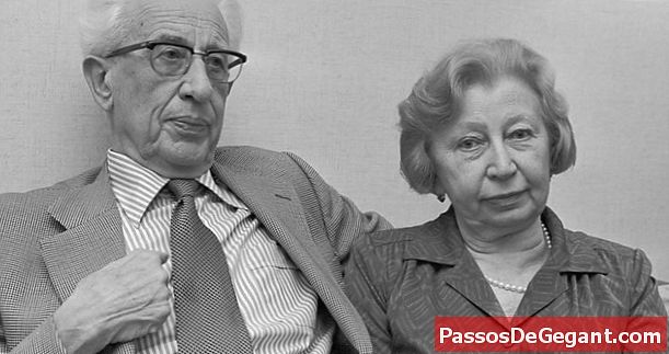 Anne Frank'i saklayan Miep Gies 100'de öldü - Tarihçe