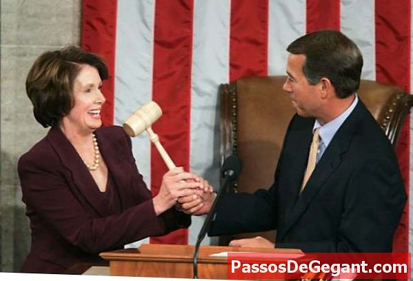 Nancy Pelosi wird erste Sprecherin des Hauses