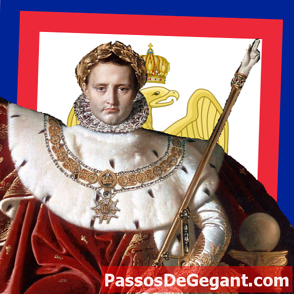 Napoleón coronado emperador - Historia