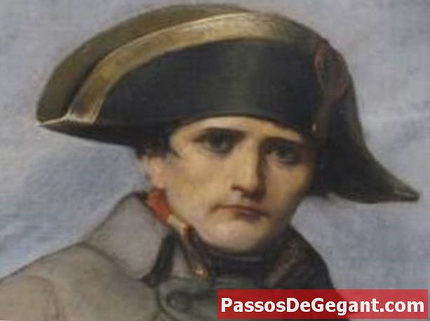 Napoleons styrkor besegrade i Paris