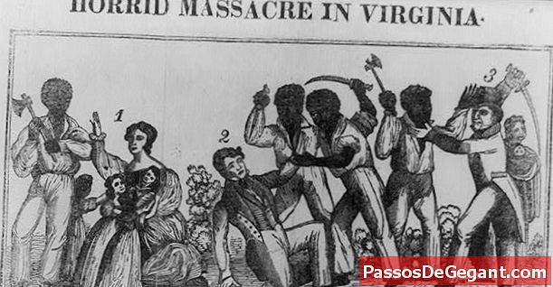 Nat Turner in Virginia hingerichtet