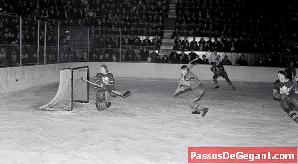 Ulusal Hokey Ligi (NHL) ilk sezonunu açtı