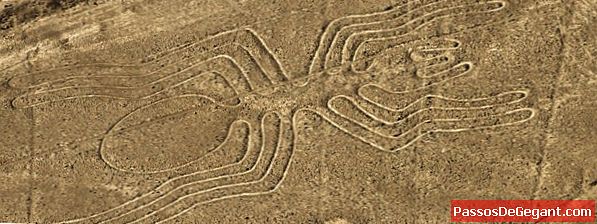 Nazca लाइन्स