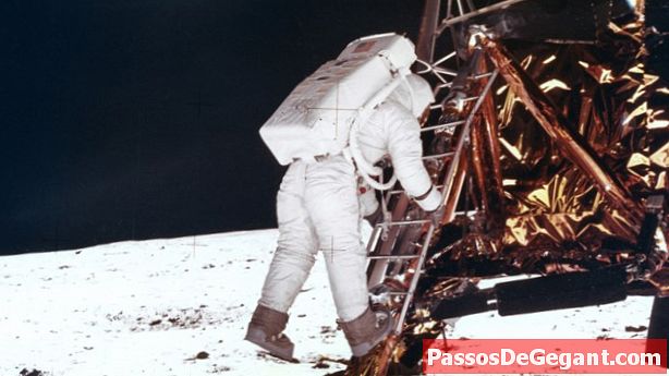 Neil Armstrong kráča po mesiaci - Histórie