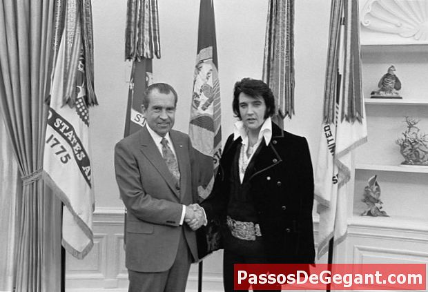 Nixon träffar Elvis Presley - Historia