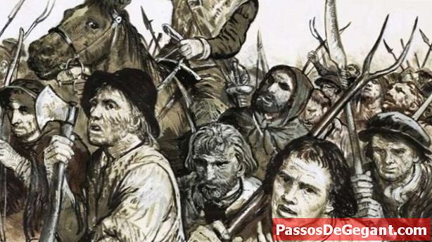 Rolnická armáda pochoduje do Londýna - Dějiny
