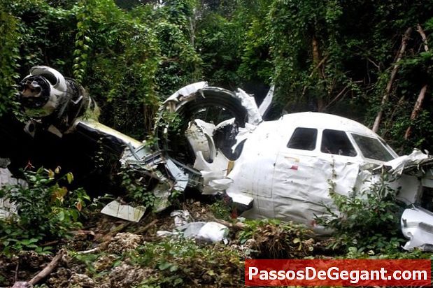 המטוס מתרסק בג'ונגל התאילנדי