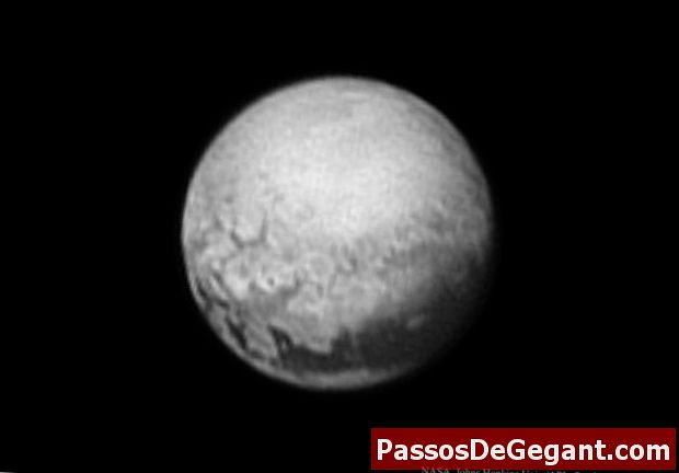 Pluto löysi