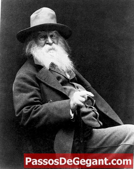 Nasce o poeta Walt Whitman, autor de "Leaves of Grass" - História