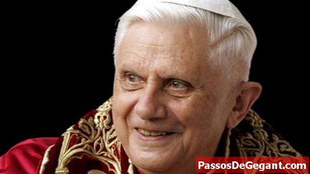 Popiežius Benediktas atsistatydina