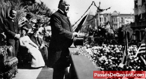 Präsident William McKinley wird erschossen - Geschichte