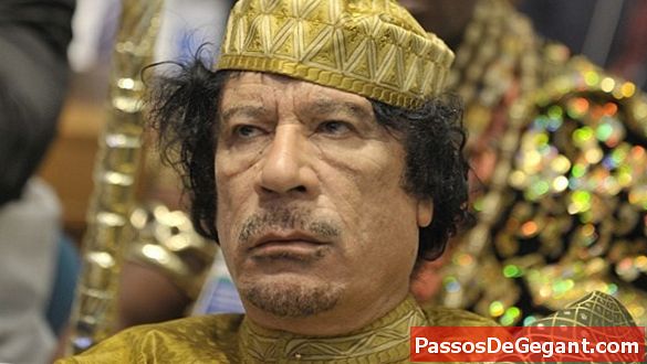 Kaddafi Libya'nın öncülüğünü yaptı