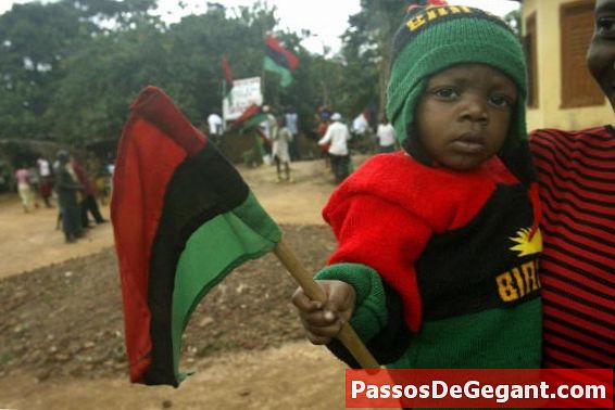 Δημοκρατία της Biafra διακήρυξε