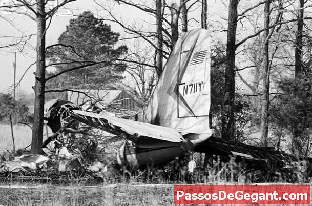 Rick Nelson umiera w katastrofie lotniczej - Historia