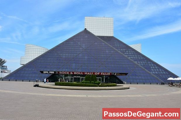 Rock and Roll Hall of Fame induce prima femeie