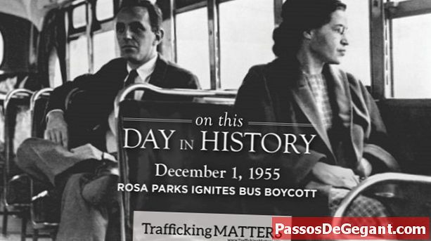 רוזה פארקס מציתה את חרם האוטובוסים