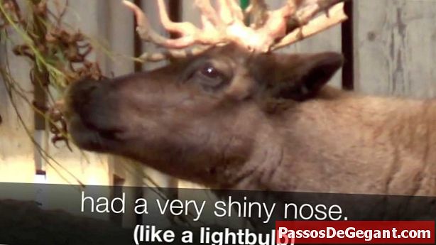 "Rudolph the Red-Nosed Reindeer" är låten # 1 på de amerikanska poplistorna - Historia