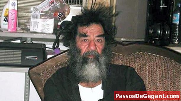 Saddam Hussein gevangen genomen