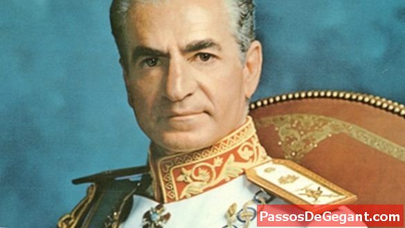 Shah flyr från Iran - Historia