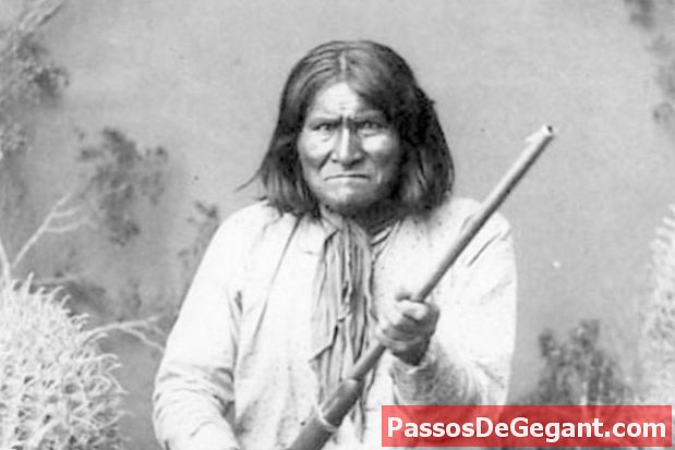 Sitting Bull se vzdává - Dějiny