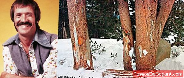 Sonny Bono muere en accidente de esquí - Historia