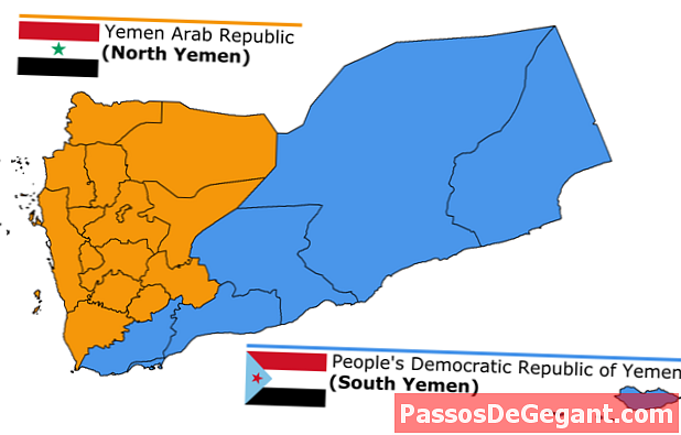 Lo Yemen del Sud e lo Yemen del Nord sono unificati come Repubblica dello Yemen