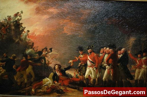 يبدأ الحصار الإسباني لبنساكولا - التاريخ
