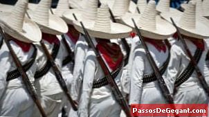 멕시코 독립을위한 투쟁