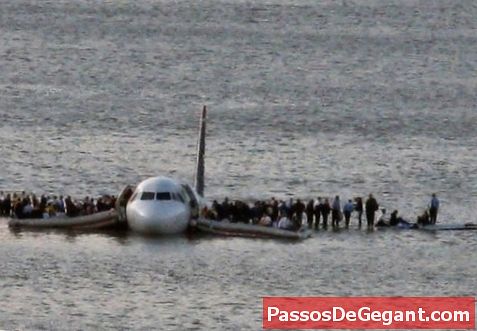 Sully Sullenberger esegue Miracle on the Hudson