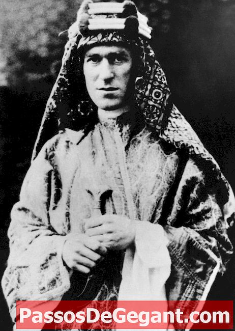 T.E. Lawrence, Arap işleri hakkında rapor veriyor