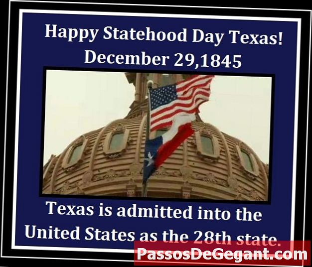 Il Texas entra nell'Unione - Storia