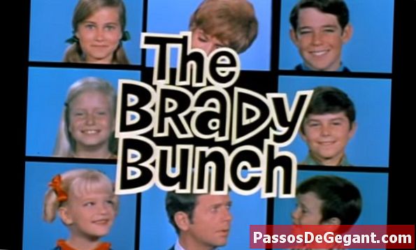 The Brady Bunch perdana