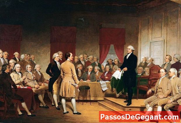İlk sömürge anayasası - Tarihçe