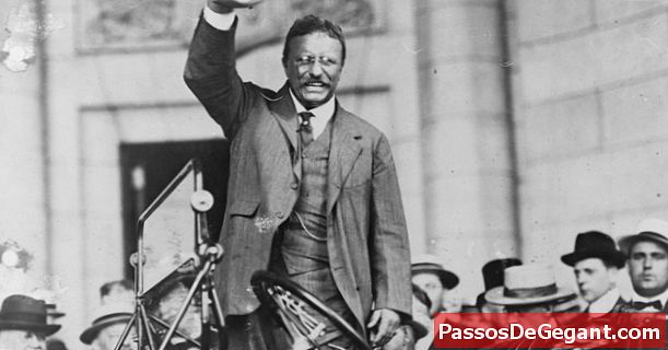 Theodore Roosevelt on sündinud