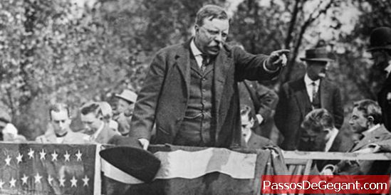 Theodore Roosevelt skød i Milwaukee