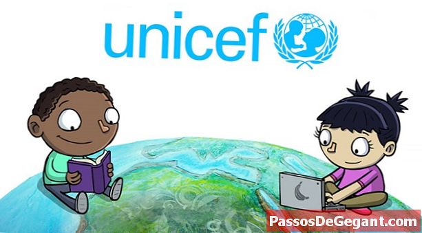 Įkurta UNICEF