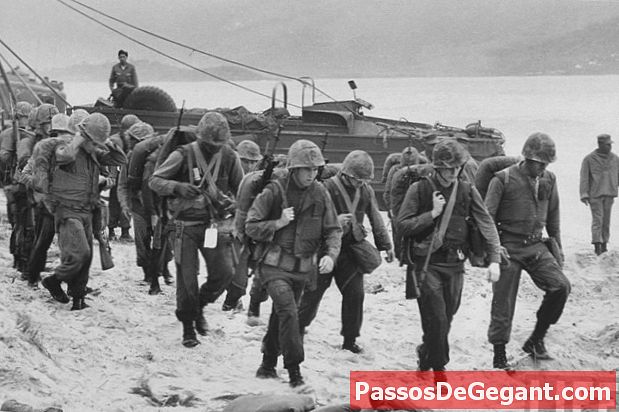 Los marines estadounidenses desembarcan en Da Nang