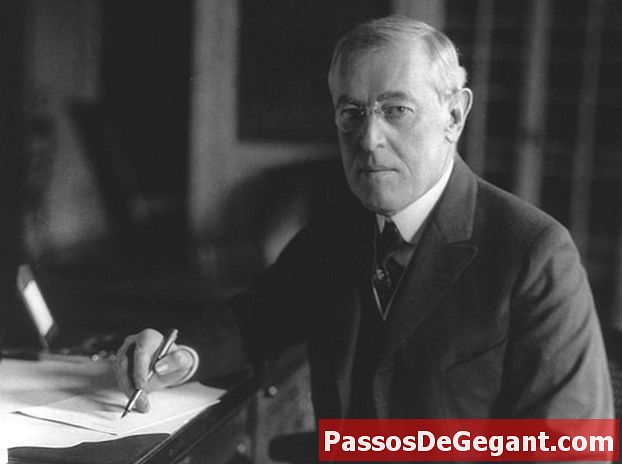 Yhdysvaltain presidentti Woodrow Wilson puhui lipupäivän puheessa
