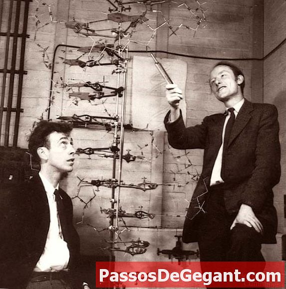Watson e Crick descobrem estrutura química do DNA