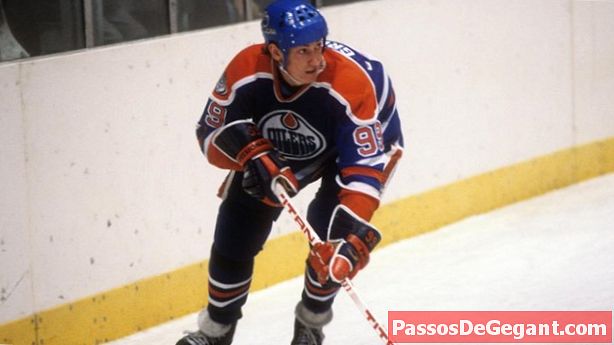 Wayne Gretzky memecahkan rekor poin NHL