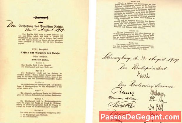 Weimar konstitution antogs i Tyskland
