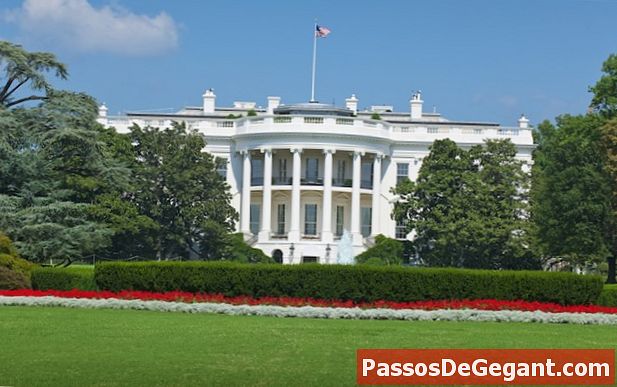 Hospodyně Bílého domu pražce nad prezidentským pasem