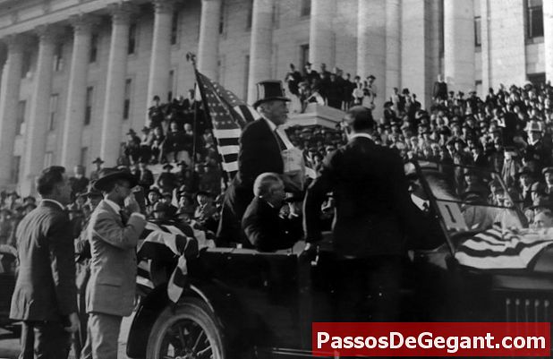 Prezydent USA Woodrow Wilson doznał potężnego udaru mózgu