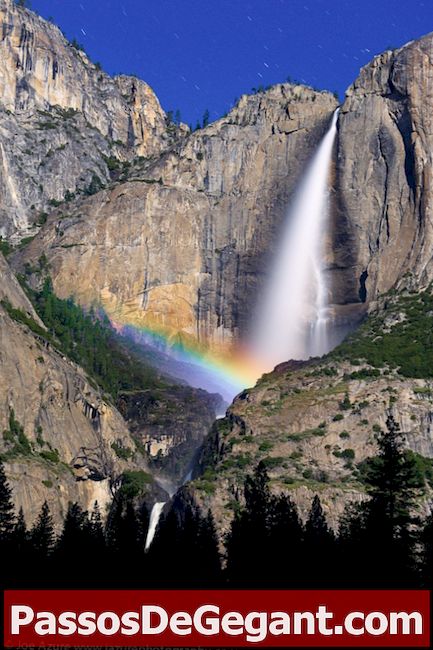 Yosemite National Park etablerad - Historia